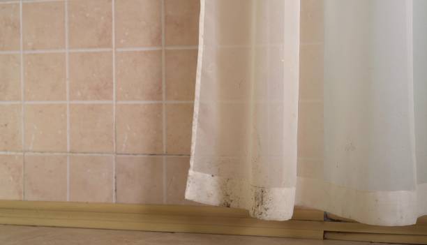 Best Residential Mold Inspection & Testing  in Washgton, IN