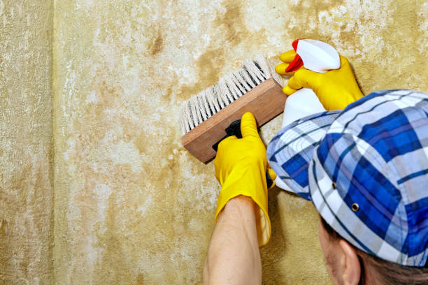 Best Mold Remediation for Healthcare Facilities  in Washgton, IN