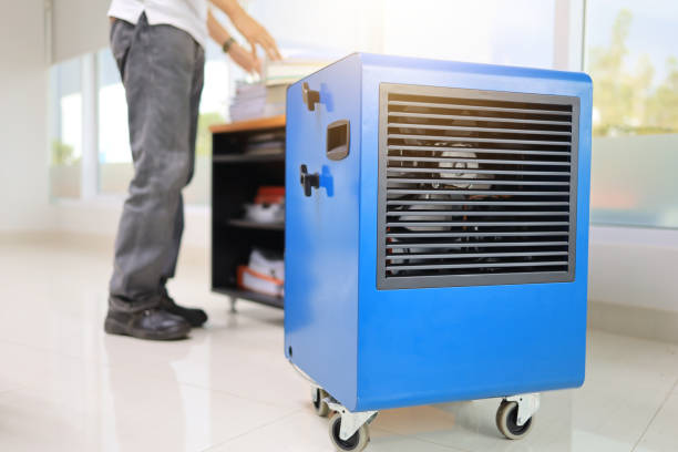Trusted Washington, IN Mold Removal Experts