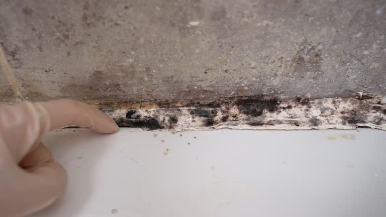 Best Airborne Mold Testing  in Washgton, IN